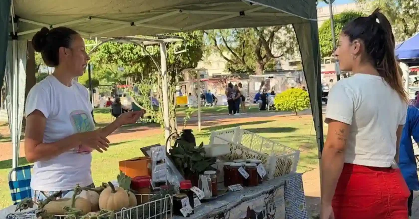Otro domingo de Feria desde el Origen