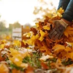 El Municipio refuerza el barrido urbano y recuerda cómo disponer hojas en otoño