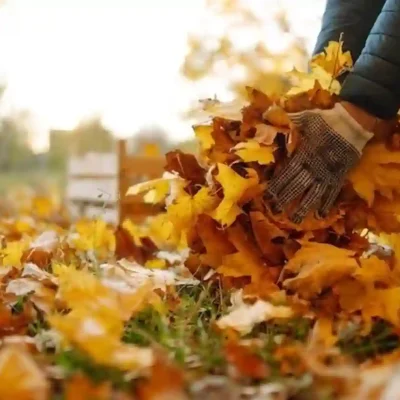 El Municipio refuerza el barrido urbano y recuerda cómo disponer hojas en otoño