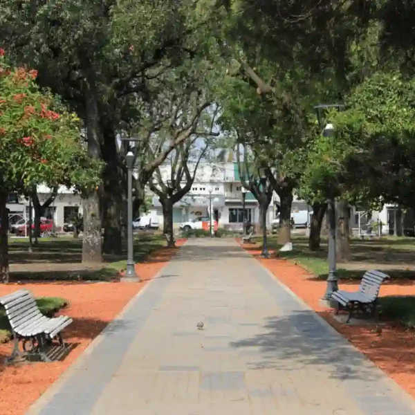 La renovación de la Plaza 25 de Mayo suma su etapa de parquización