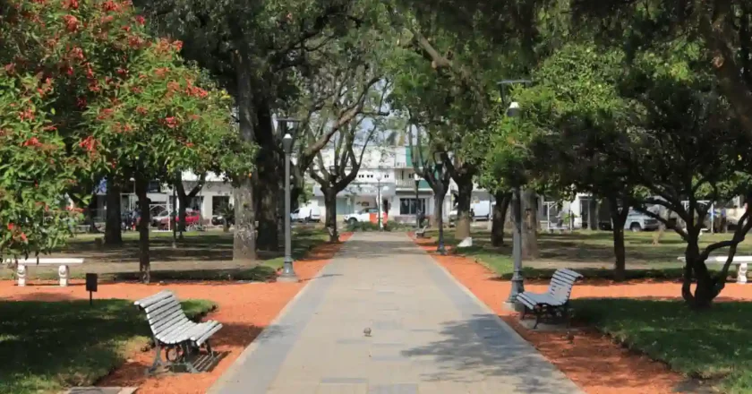 La renovación de la Plaza 25 de Mayo suma su etapa de parquización