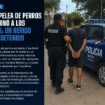 Rafaela: pelea de perros terminó con un herido y un detenido