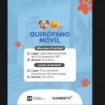 Operativo de esterilización para perros y gatos en Humberto Primo