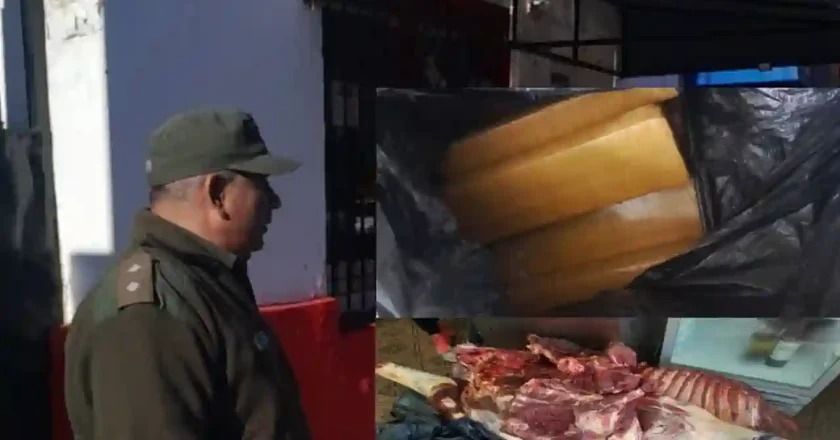 Droga hallada en carnicería de Serodino durante inspección por faena ilegal