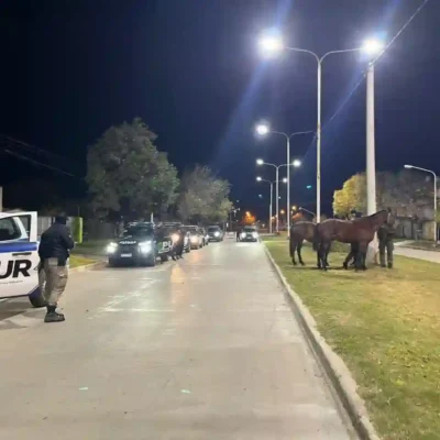 En trabajo articulado, Comando Unificado secuestró equinos de la vía pública