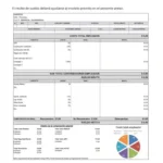 Nuevo recibo de sueldo con gráfico obligatorio: transparencia laboral en Argentina