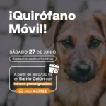 El Quirófano Móvil realizará una nueva jornada de castraciones en Barrio Colón
