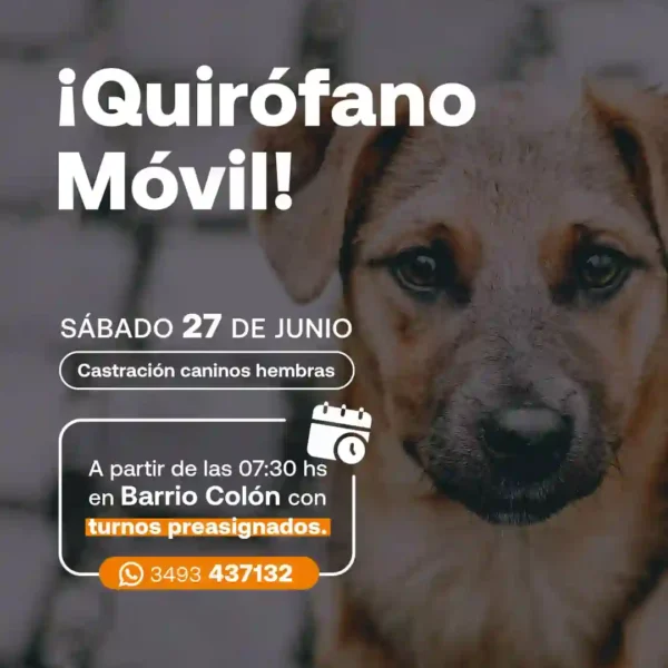 El Quirófano Móvil realizará una nueva jornada de castraciones en Barrio Colón