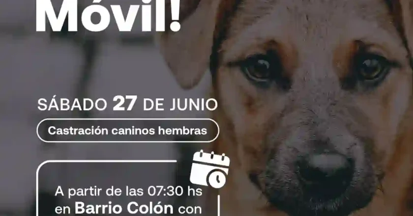 El Quirófano Móvil realizará una nueva jornada de castraciones en Barrio Colón