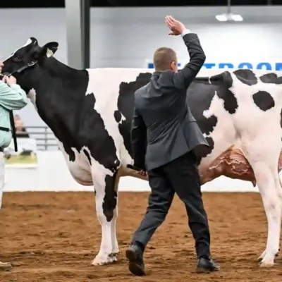Expo Rural de Rafaela: Ryan Krohlow juzgará la pista Holando