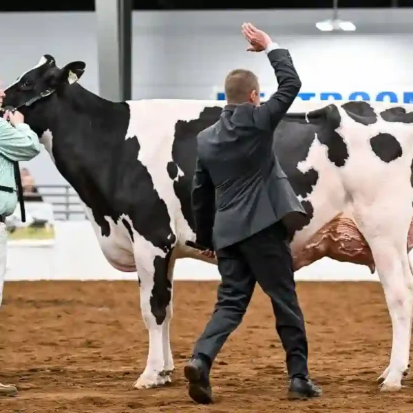 Expo Rural de Rafaela: Ryan Krohlow juzgará la pista Holando