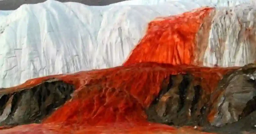 Blood Falls: el misterio de las cascadas de sangre en la Antártida