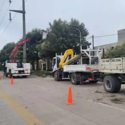 EPE realizará despeje de árboles en cuatro barrios de Rafaela desde el 14 de julio