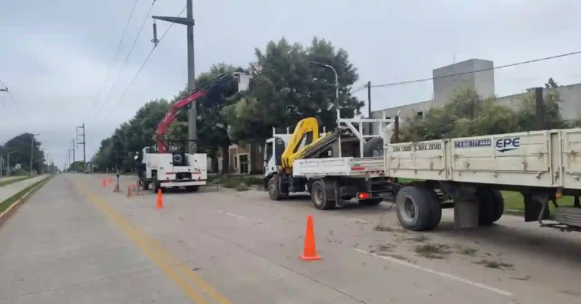 EPE realizará despeje de árboles en cuatro barrios de Rafaela desde el 14 de julio