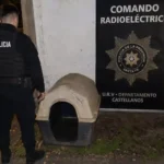 Rafaela: secuestran una casilla para perro abandonada y buscan a su dueño