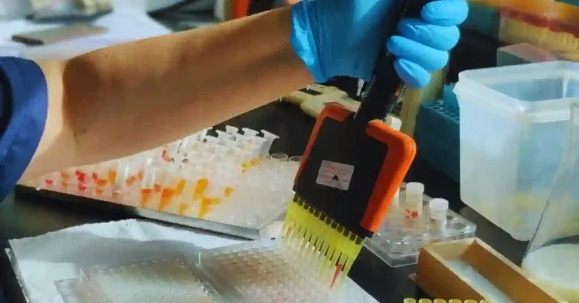 Fortalecen un laboratorio que es referencia mundial en tristeza bovina