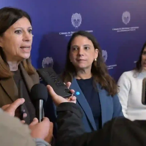 La Legislatura santafesina reconoció a Unicef Argentina