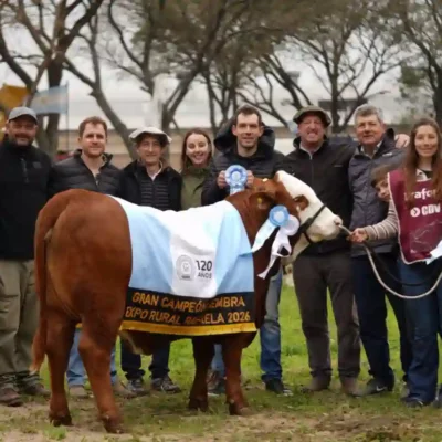 Con la 1° Jura Expo Braford, “tenemos años muy buenos por venir”