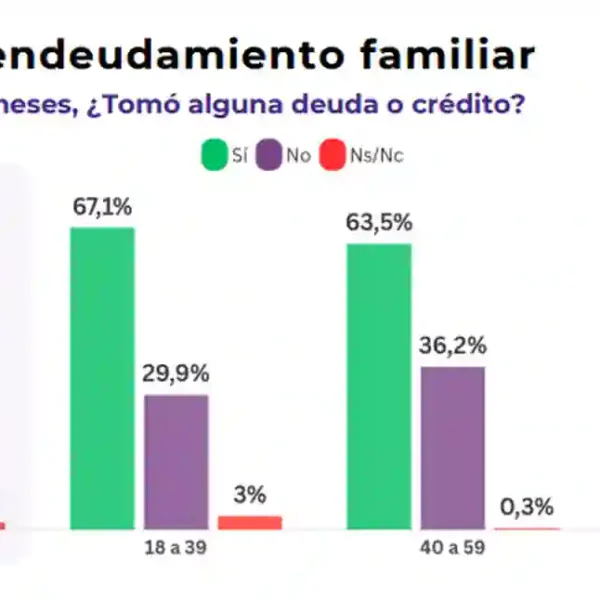 Crisis de ingresos: el 76% de quienes se endeudaron lo hizo para pagar alimentos, salud, tarifas y servicios