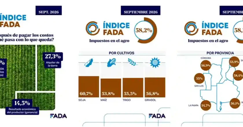La competitividad agropecuaria sigue impactada por la carga impositiva elevada